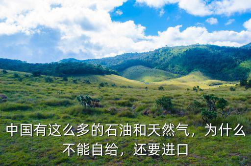 中國有這么多的石油和天然氣，為什么不能自給，還要進口