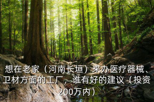 想在老家（河南長垣）來辦醫(yī)療器械、衛(wèi)材方面的工廠，誰有好的建議（投資200萬內(nèi)）