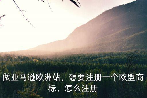 做亞馬遜歐洲站，想要注冊(cè)一個(gè)歐盟商標(biāo)，怎么注冊(cè)