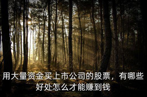 用大量資金買(mǎi)上市公司的股票，有哪些好處怎么才能賺到錢(qián)