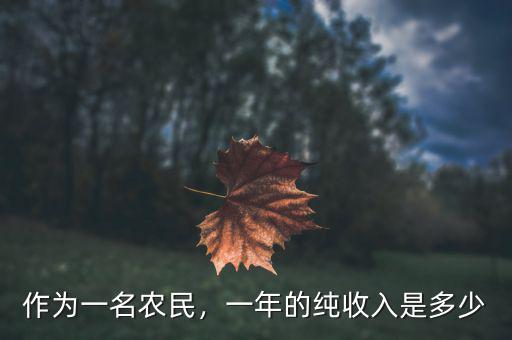 作為一名農民，一年的純收入是多少