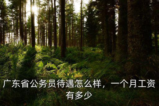 廣東省公務員待遇怎么樣，一個月工資有多少
