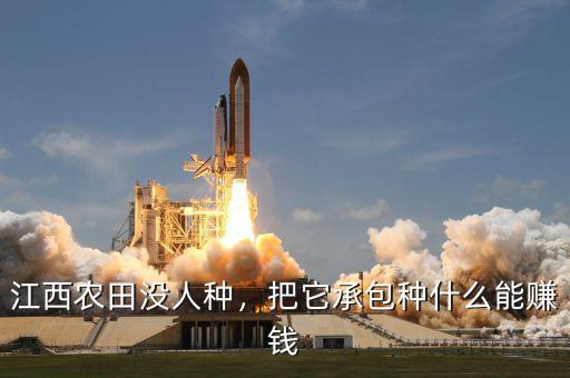 江西農(nóng)田沒人種，把它承包種什么能賺錢