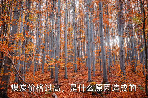 煤炭價(jià)格過高，是什么原因造成的
