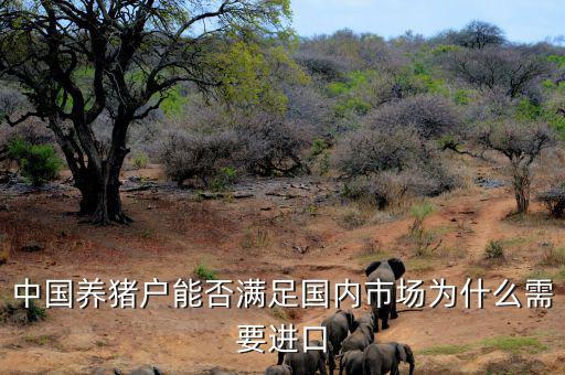 中國(guó)養(yǎng)豬戶(hù)能否滿(mǎn)足國(guó)內(nèi)市場(chǎng)為什么需要進(jìn)口