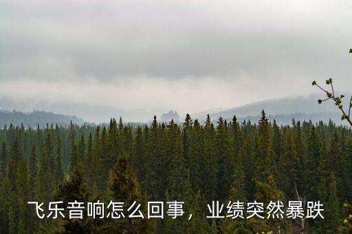 飛樂音響怎么回事，業(yè)績(jī)突然暴跌