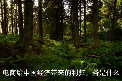 電商給中國經(jīng)濟帶來的利弊，各是什么
