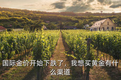 國(guó)際金價(jià)開(kāi)始下跌了，我想買(mǎi)黃金有什么渠道