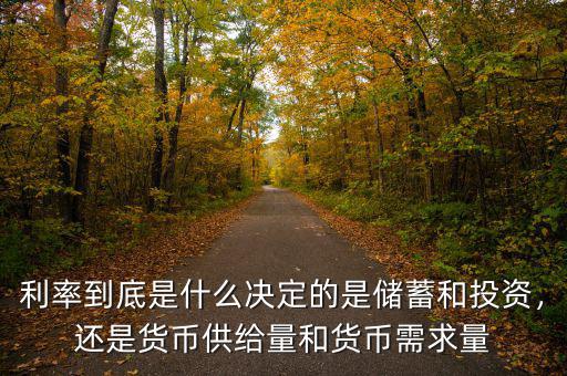 利率到底是什么決定的是儲蓄和投資，還是貨幣供給量和貨幣需求量