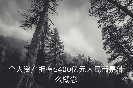 個人資產擁有5400億元人民幣是什么概念