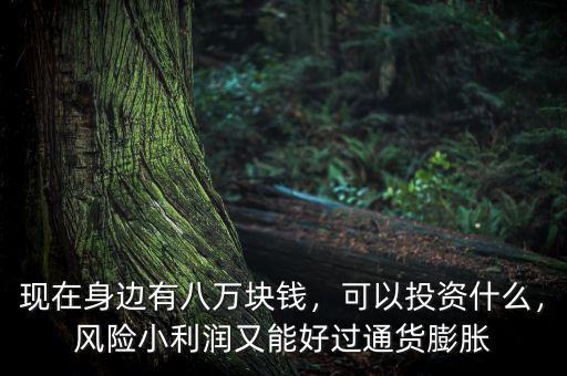 現(xiàn)在身邊有八萬(wàn)塊錢(qián)，可以投資什么，風(fēng)險(xiǎn)小利潤(rùn)又能好過(guò)通貨膨脹