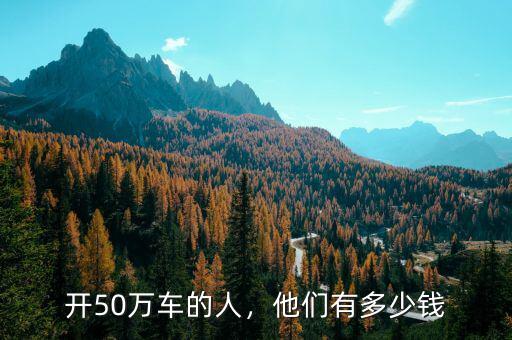 開50萬(wàn)車的人，他們有多少錢