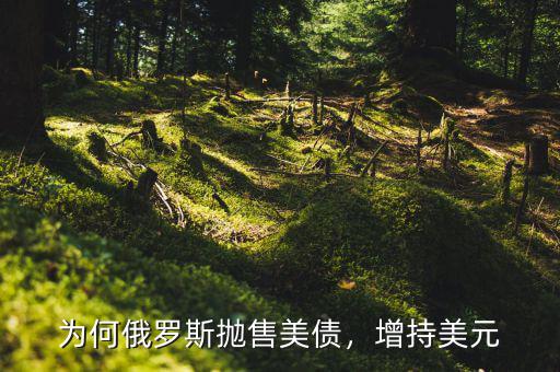 為何俄羅斯拋售美債，增持美元