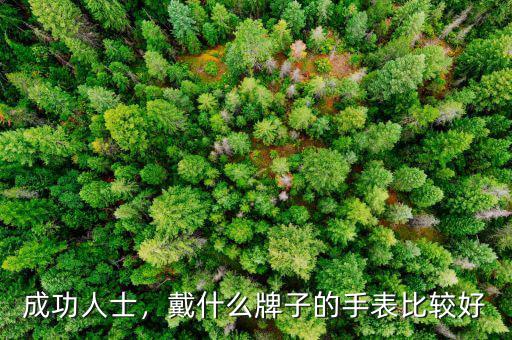 成功人士，戴什么牌子的手表比較好