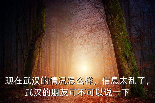 現(xiàn)在武漢的情況怎么樣，信息太亂了，武漢的朋友可不可以說(shuō)一下
