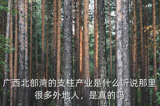 廣西北部灣的支柱產(chǎn)業(yè)是什么聽(tīng)說(shuō)那里很多外地人，是真的嗎