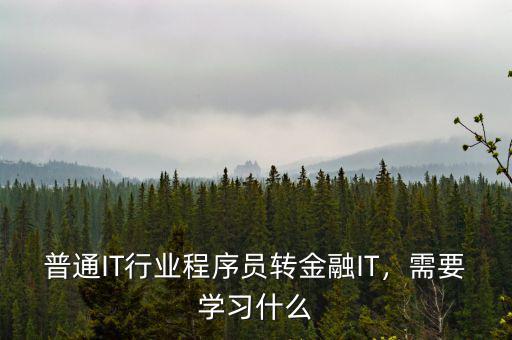 普通IT行業(yè)程序員轉(zhuǎn)金融IT，需要學(xué)習(xí)什么