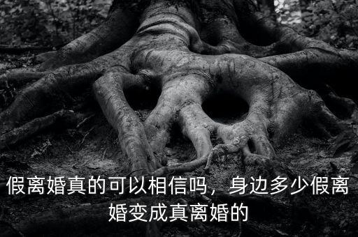 假離婚真的可以相信嗎，身邊多少假離婚變成真離婚的