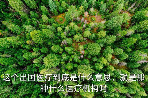 這個(gè)出國醫(yī)療到底是什么意思，就是那種什么醫(yī)療機(jī)構(gòu)嗎