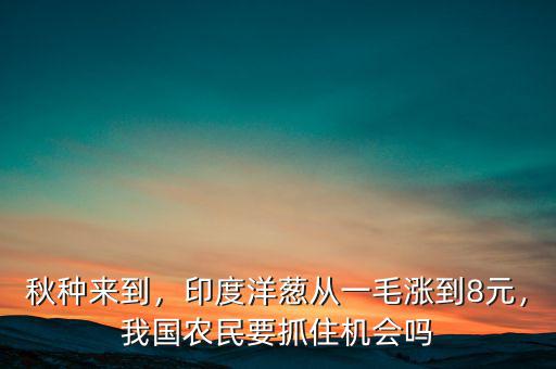 秋種來(lái)到，印度洋蔥從一毛漲到8元，我國(guó)農(nóng)民要抓住機(jī)會(huì)嗎