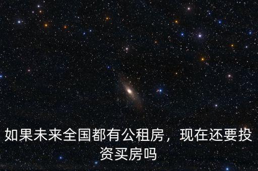 如果未來全國都有公租房，現(xiàn)在還要投資買房嗎