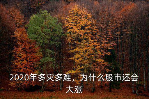 2020年多災(zāi)多難，為什么股市還會(huì)大漲