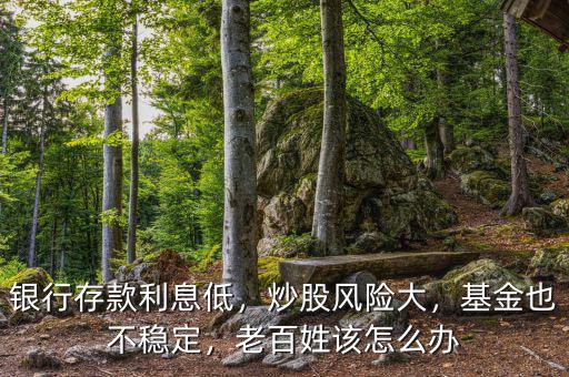 銀行存款利息低，炒股風險大，基金也不穩(wěn)定，老百姓該怎么辦