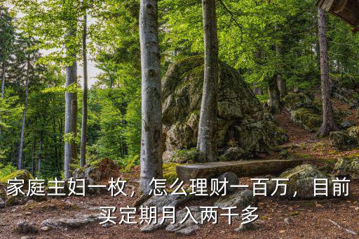 家庭主婦一枚，怎么理財(cái)一百萬，目前買定期月入兩千多