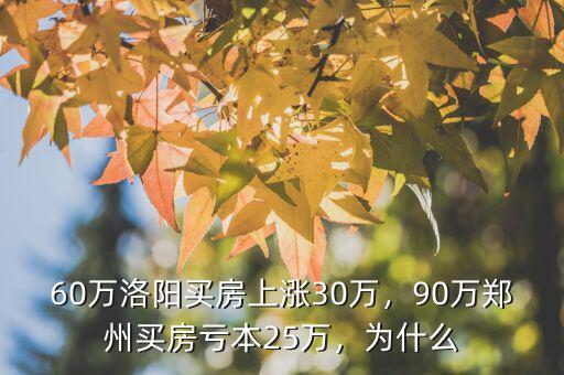 60萬洛陽(yáng)買房上漲30萬，90萬鄭州買房虧本25萬，為什么