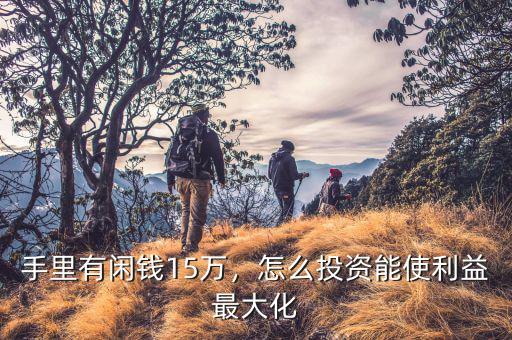 手里有閑錢15萬，怎么投資能使利益最大化