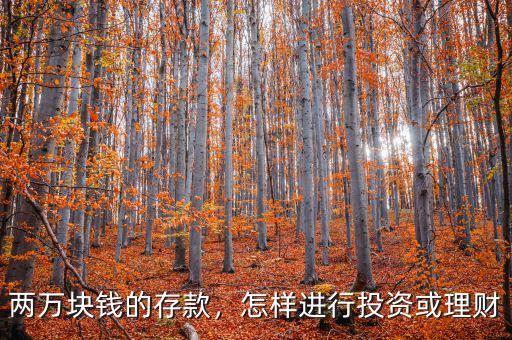 兩萬塊錢的存款，怎樣進(jìn)行投資或理財