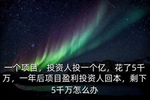 一個項目，投資人投一個億，花了5千萬，一年后項目盈利投資人回本，剩下5千萬怎么辦