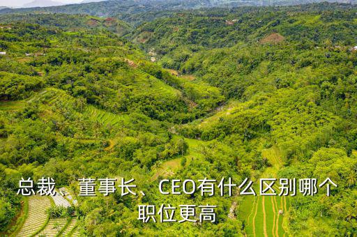 總裁、董事長、CEO有什么區(qū)別哪個職位更高