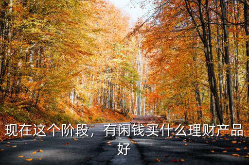現(xiàn)在這個階段，有閑錢買什么理財產(chǎn)品好