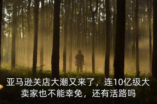 亞馬遜關(guān)店大潮又來了，連10億級(jí)大賣家也不能幸免，還有活路嗎