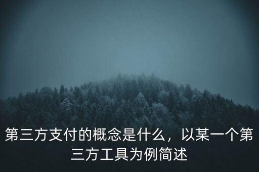 第三方支付的概念是什么，以某一個第三方工具為例簡述