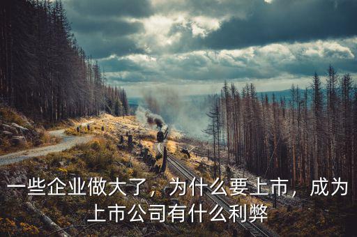 一些企業(yè)做大了，為什么要上市，成為上市公司有什么利弊