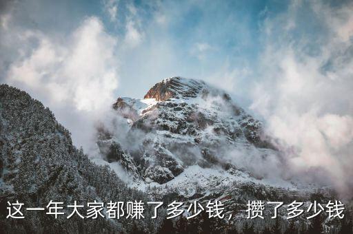 這一年大家都賺了多少錢，攢了多少錢