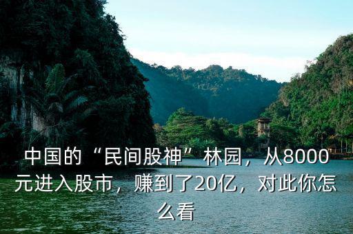 中國(guó)股神買(mǎi)了什么,中國(guó)的民間股神林園