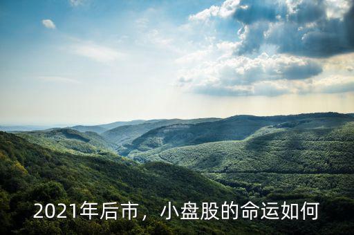 2021年后市，小盤(pán)股的命運(yùn)如何