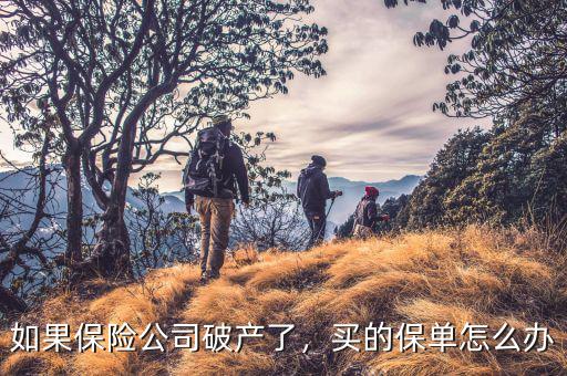 如果保險(xiǎn)公司破產(chǎn)了，買(mǎi)的保單怎么辦