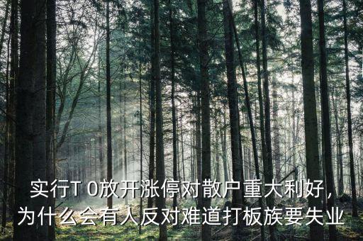 實(shí)行T 0放開漲停對散戶重大利好，為什么會有人反對難道打板族要失業(yè)