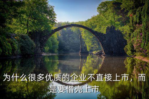 為什么很多優(yōu)質(zhì)的企業(yè)不直接上市，而是要借殼上市