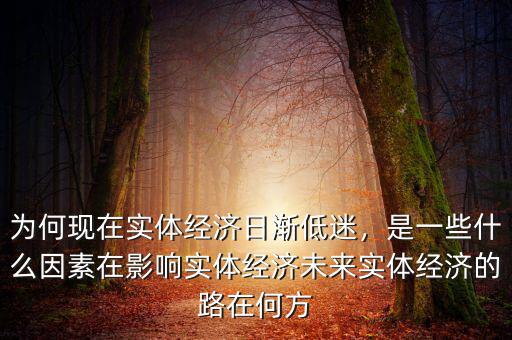為何現(xiàn)在實(shí)體經(jīng)濟(jì)日漸低迷，是一些什么因素在影響實(shí)體經(jīng)濟(jì)未來實(shí)體經(jīng)濟(jì)的路在何方