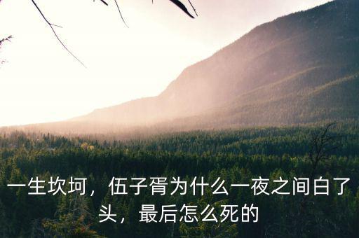 一生坎坷，伍子胥為什么一夜之間白了頭，最后怎么死的
