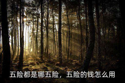 五險(xiǎn)都是哪五險(xiǎn)，五險(xiǎn)的錢(qián)怎么用