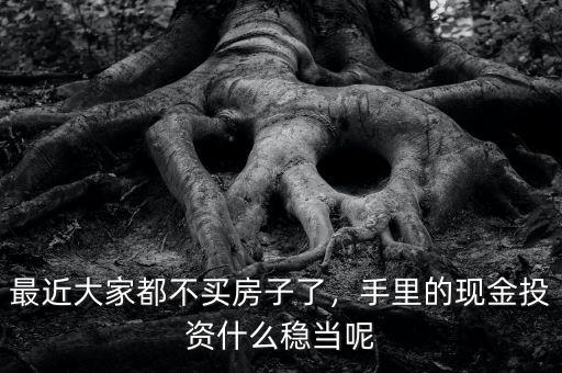 最近大家都不買房子了，手里的現(xiàn)金投資什么穩(wěn)當(dāng)呢