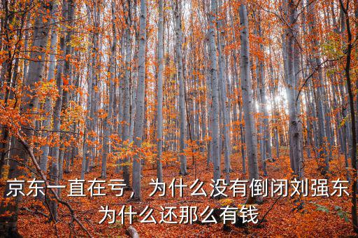 京東一直在虧，為什么沒有倒閉劉強(qiáng)東為什么還那么有錢