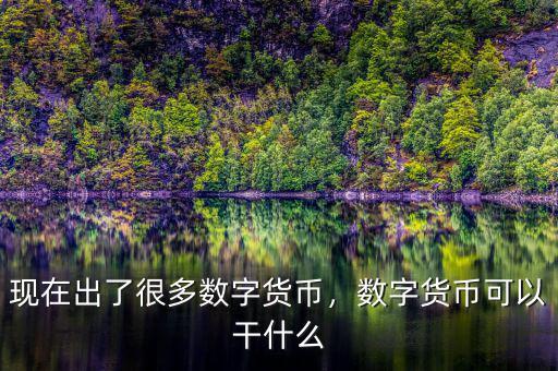現(xiàn)在出了很多數(shù)字貨幣，數(shù)字貨幣可以干什么