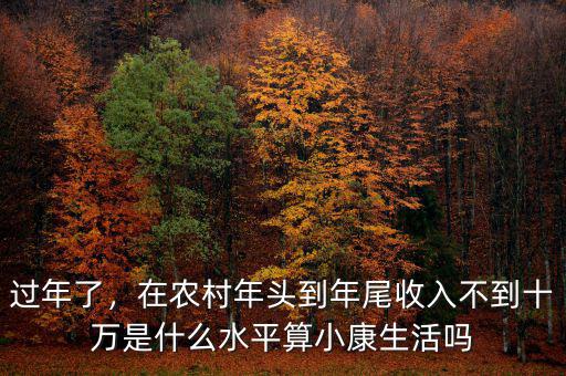 過年了，在農(nóng)村年頭到年尾收入不到十萬是什么水平算小康生活嗎